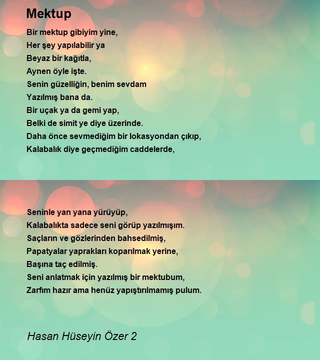 Hasan Hüseyin Özer 2