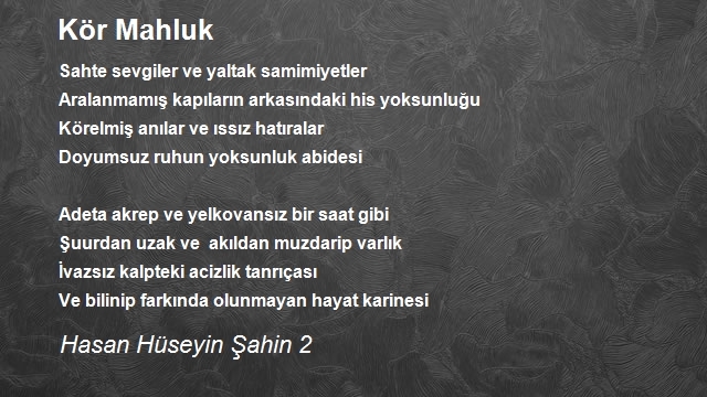 Hasan Hüseyin Şahin 2