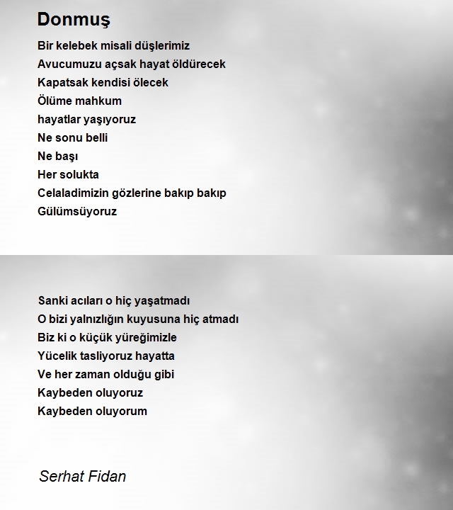 Serhat Fidan