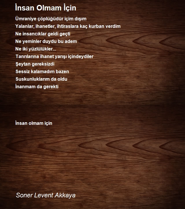 Soner Levent Akkaya