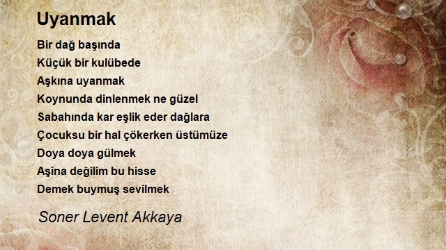 Soner Levent Akkaya