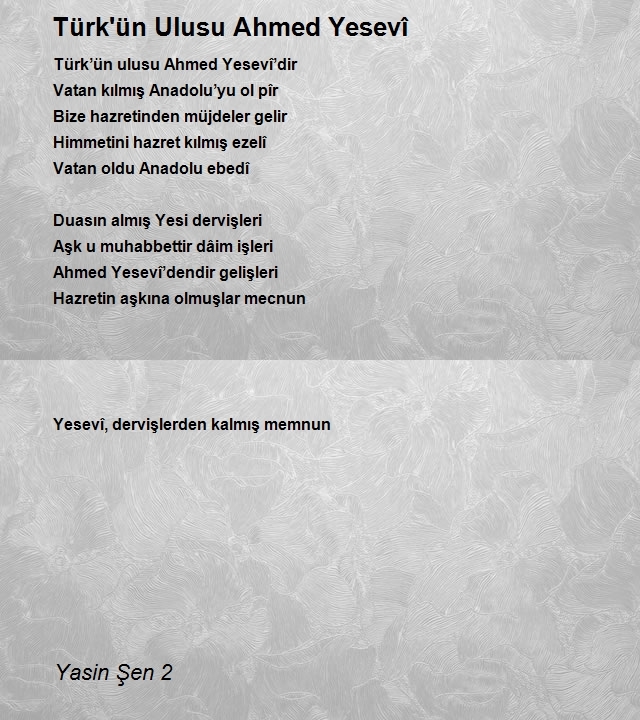 Yasin Şen 2