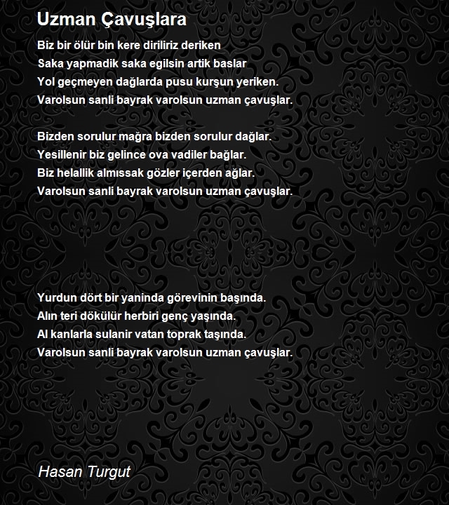 Hasan Turgut