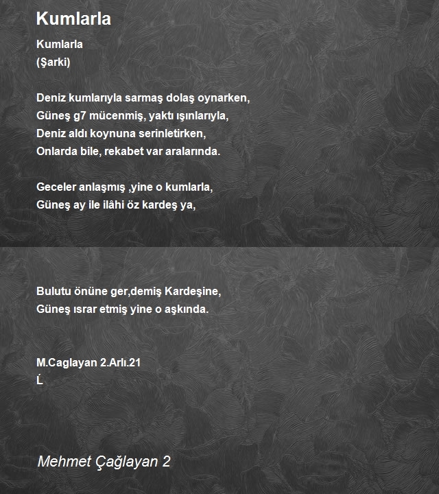 Mehmet Çağlayan 2