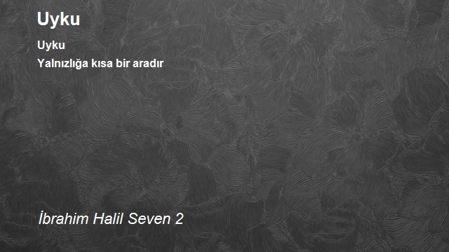 İbrahim Halil Seven 2