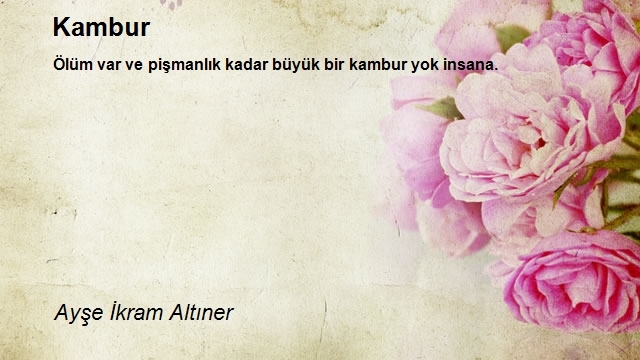 Ayşe İkram Altıner