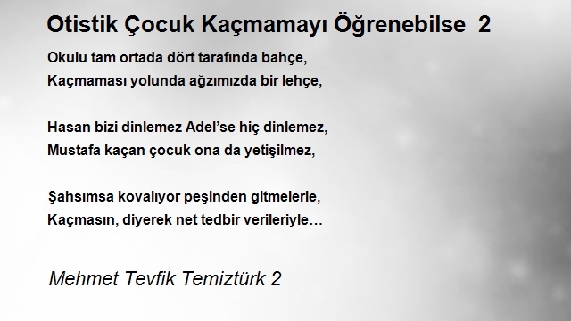 Mehmet Tevfik Temiztürk 2