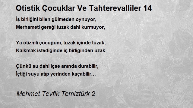 Mehmet Tevfik Temiztürk 2