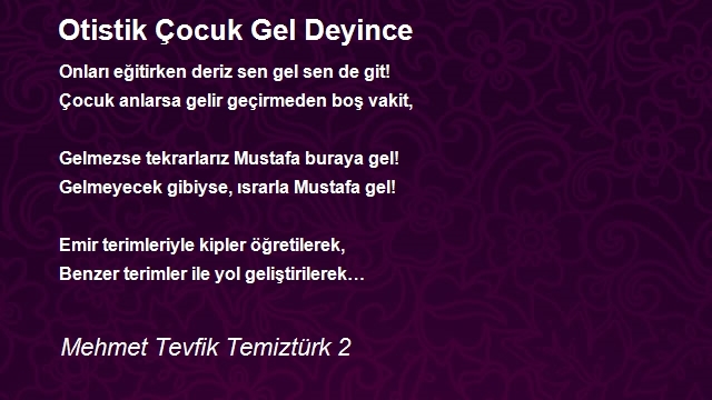 Mehmet Tevfik Temiztürk 2