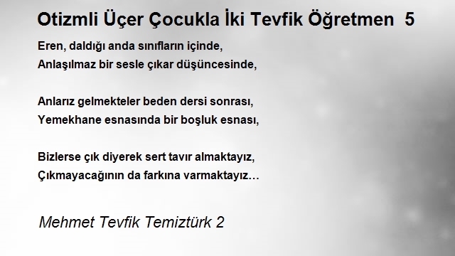 Mehmet Tevfik Temiztürk 2