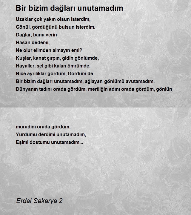 Erdal Sakarya 2