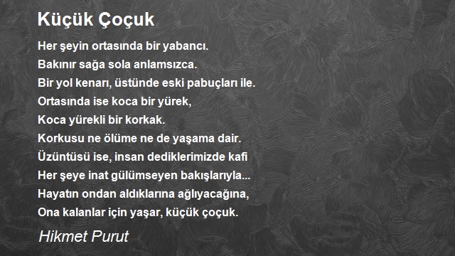 Hikmet Purut