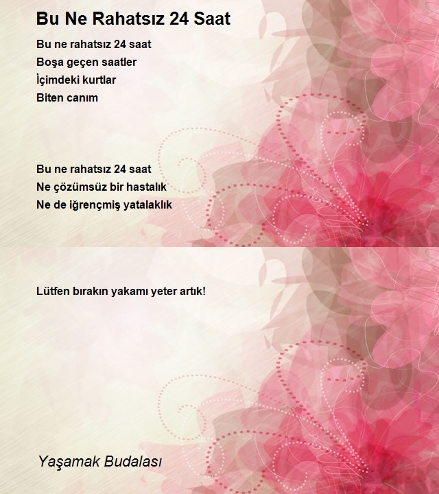 Yaşamak Budalasi 2