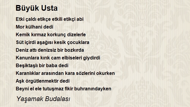 Yaşamak Budalasi 2