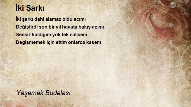 Yaşamak Budalasi 2