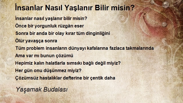 Yaşamak Budalasi 2