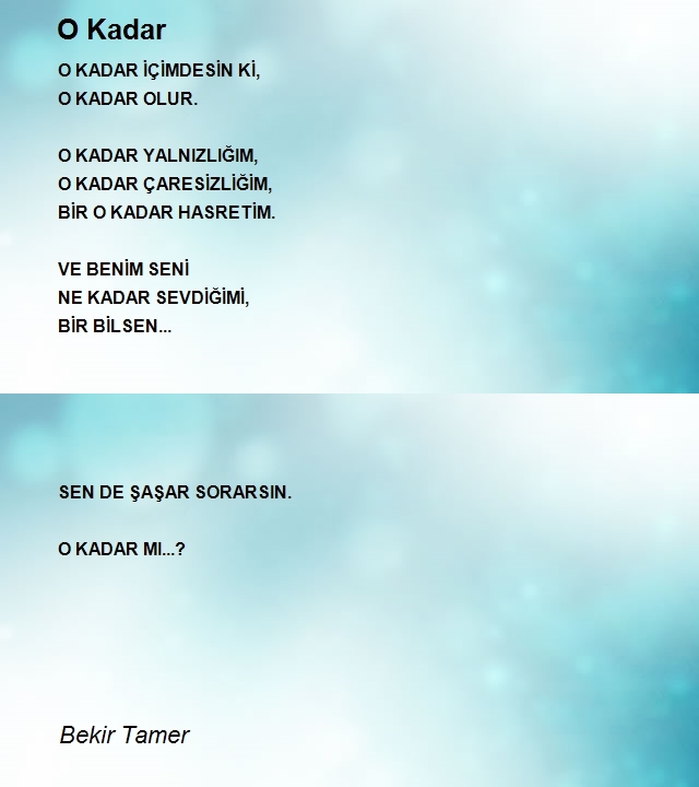 Bekir Tamer