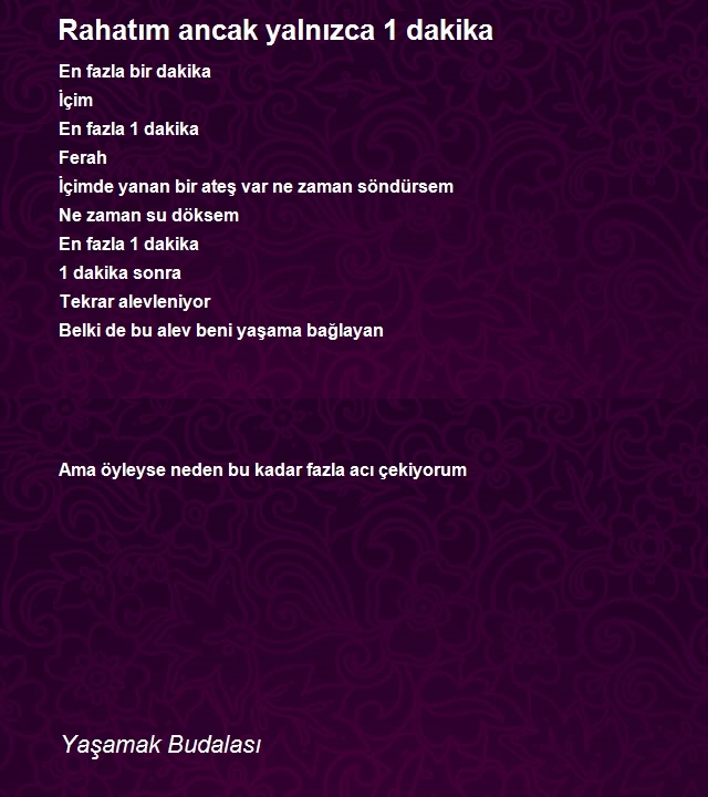 Yaşamak Budalasi 2