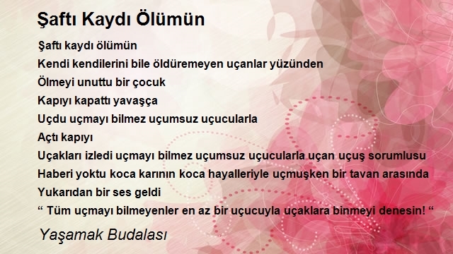 Yaşamak Budalasi 2