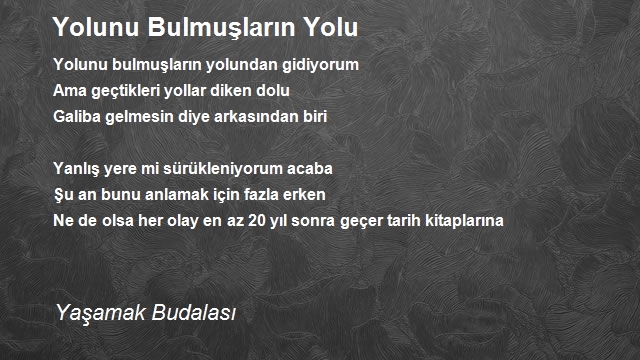 Yaşamak Budalasi 2