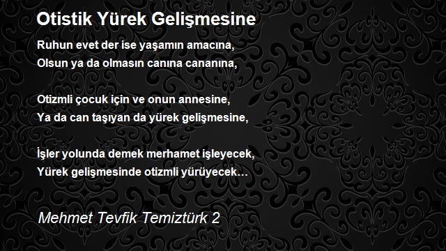 Mehmet Tevfik Temiztürk 2