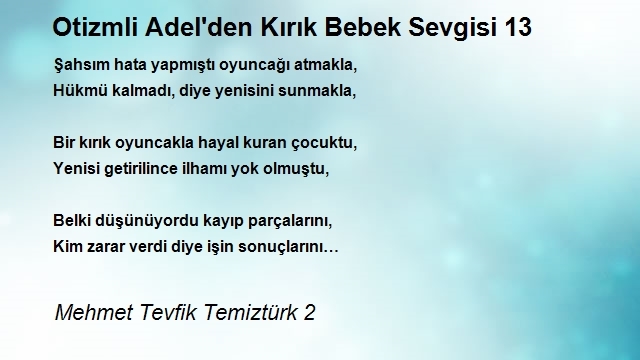 Mehmet Tevfik Temiztürk 2