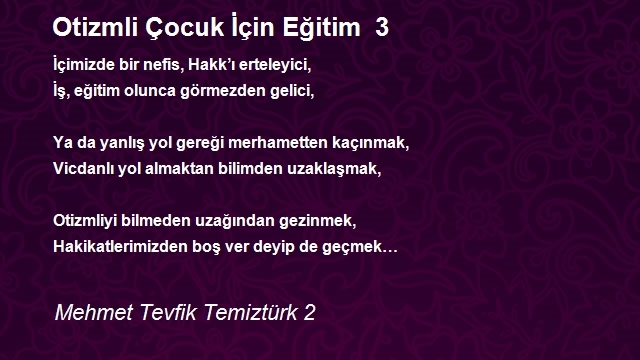 Mehmet Tevfik Temiztürk 2