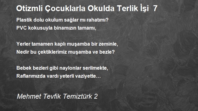 Mehmet Tevfik Temiztürk 2