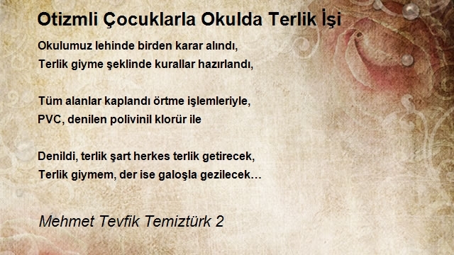 Mehmet Tevfik Temiztürk 2