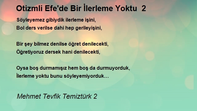 Mehmet Tevfik Temiztürk 2