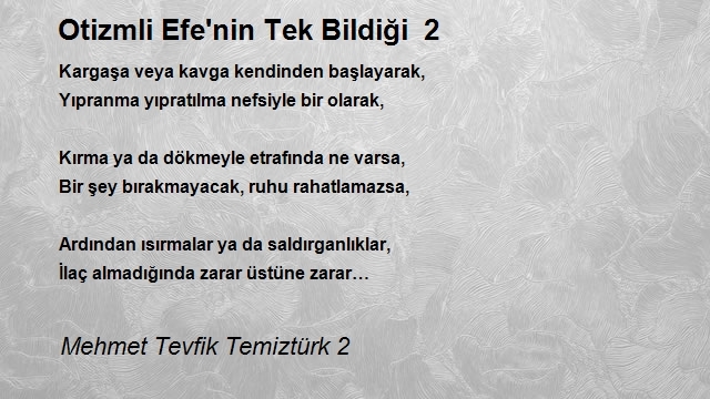 Mehmet Tevfik Temiztürk 2