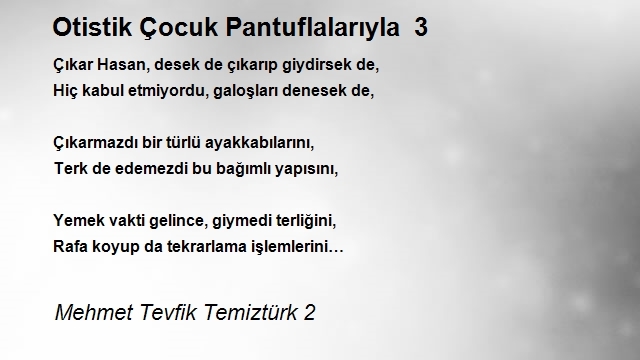 Mehmet Tevfik Temiztürk 2