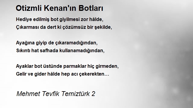 Mehmet Tevfik Temiztürk 2