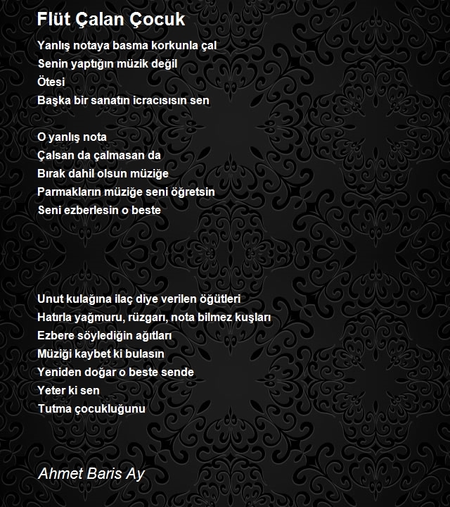 Ahmet Baris Ay