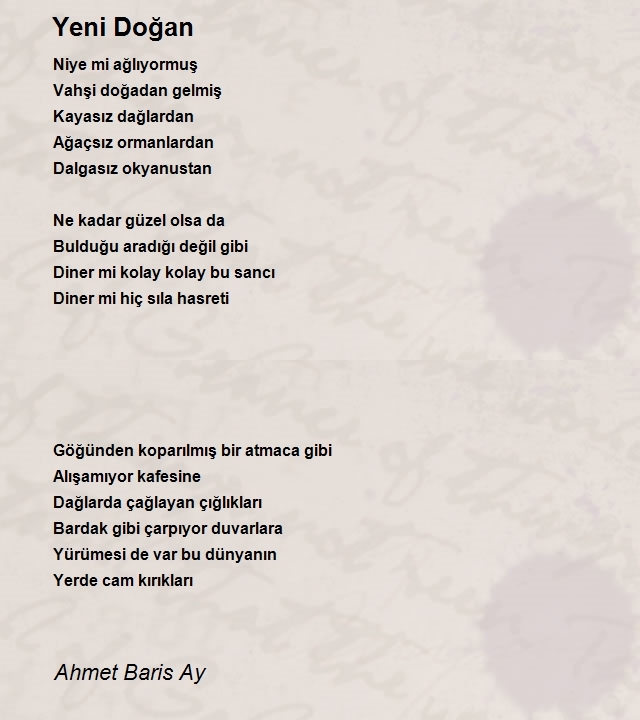 Ahmet Baris Ay