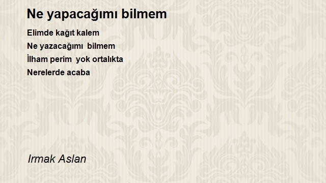 Irmak Aslan