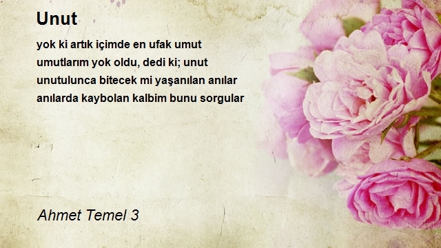 Ahmet Temel 3