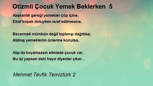 Mehmet Tevfik Temiztürk 2