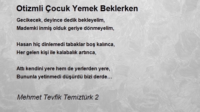 Mehmet Tevfik Temiztürk 2