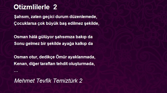 Mehmet Tevfik Temiztürk 2