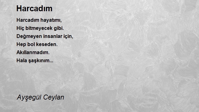 Ayşegül Ceylan