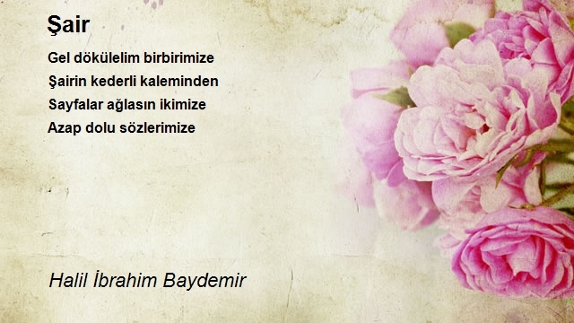 Halil İbrahim Baydemir