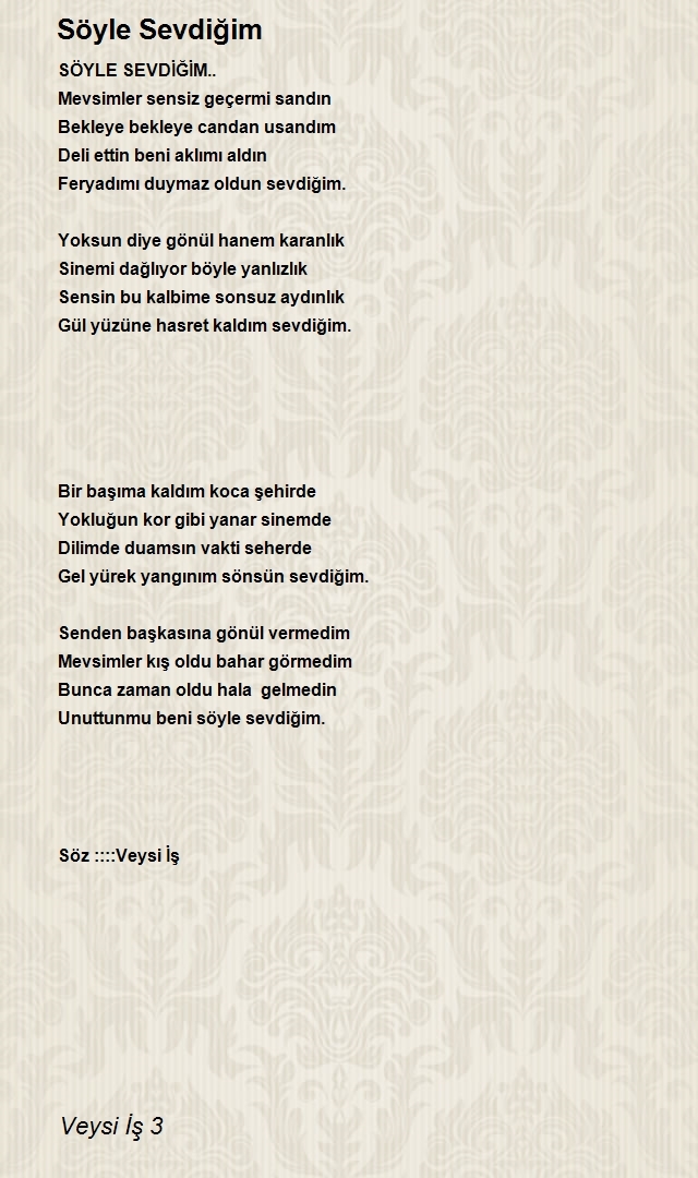 Veysi İş 3