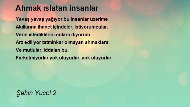 Şahin Yücel 2