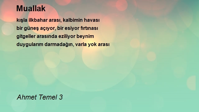 Ahmet Temel 3