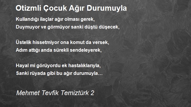 Mehmet Tevfik Temiztürk 2