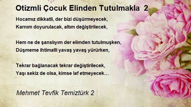 Mehmet Tevfik Temiztürk 2