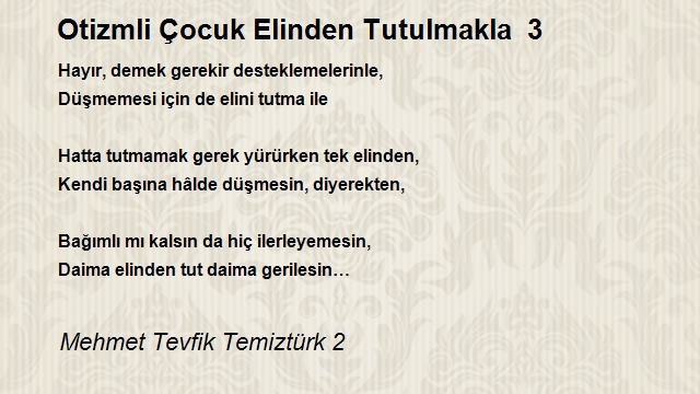 Mehmet Tevfik Temiztürk 2