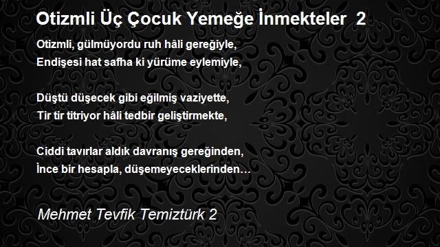 Mehmet Tevfik Temiztürk 2