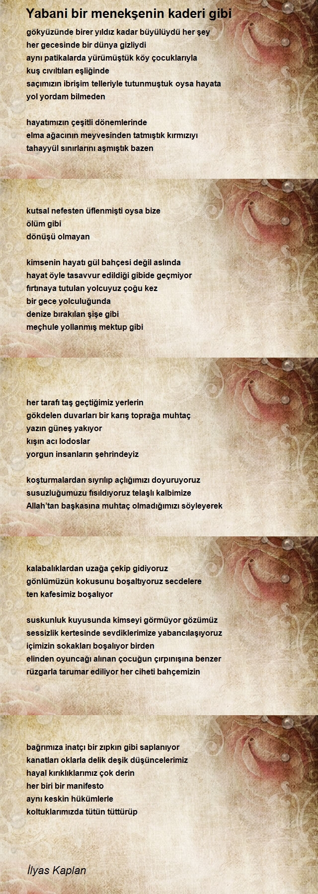 İlyas Kaplan